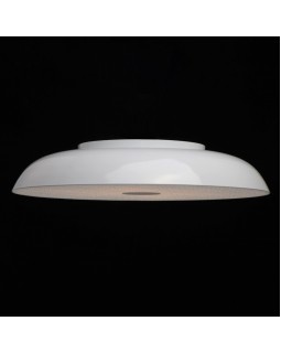 Накладной светильник MW-Light 708010409-foto4