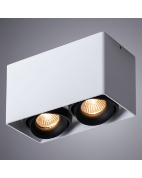 Накладной светильник ARTE Lamp A5654PL-2WH-foto2
