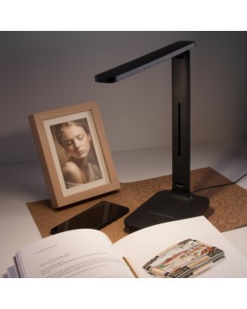 Настольная лампа Elektrostandard Pele черный (TL80960)-foto2