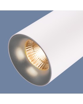 Подвесной светильник Elektrostandard DLS021 9+4W 4200К белый матовый/серебро-foto4