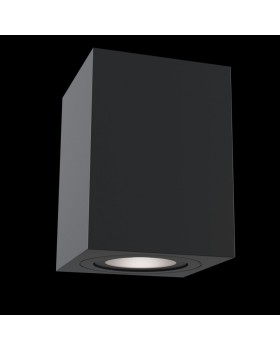 Накладной светильник Maytoni Technical C017CL-01B-foto2