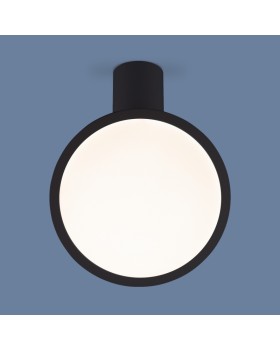Накладной светильник Elektrostandard DLS029 12W 4200K черный матовый-foto2