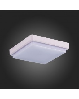 Накладной светильник Evoluce SLE200212-01-foto3