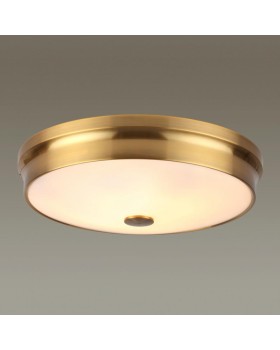 Накладной светильник Odeon Light 4824/4C