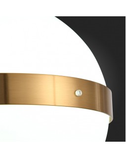 Подвесной светильник ST-Luce SL1157.303.01-foto5