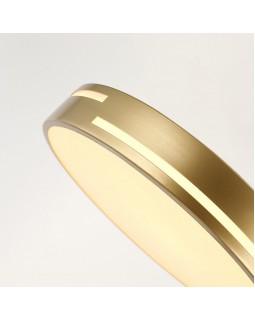 Накладной светильник F-Promo 2745-1C-foto4