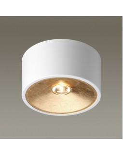Накладной светильник Odeon Light 3892/1C-foto2