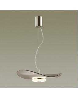 Подвесной светильник Odeon Light 4858/13L-foto4