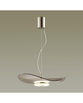 Подвесной светильник Odeon Light 4858/13L-foto4