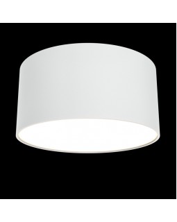 Накладной светильник Maytoni Technical C032CL-L12W3K-foto2