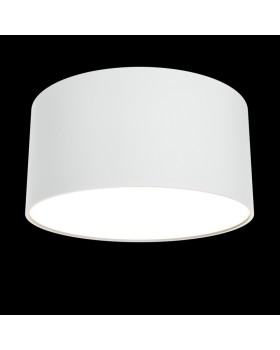 Накладной светильник Maytoni Technical C032CL-L12W3K-foto2