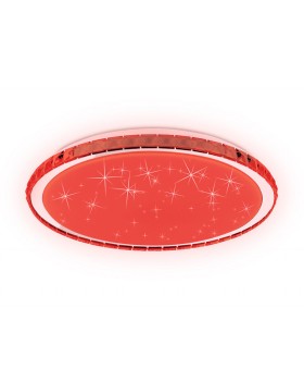 Накладной светильник Ambrella Light FF502-foto6