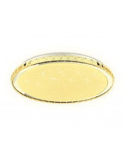 Накладной светильник Ambrella Light FF502-foto7