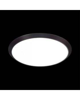 Накладной светильник Sonex 3062/18L-foto3