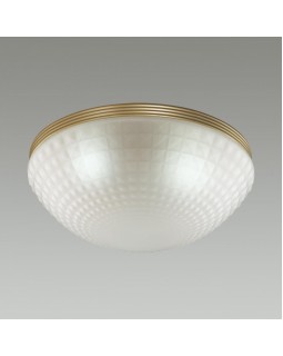 Накладной светильник Odeon Light 4936/3C-foto3