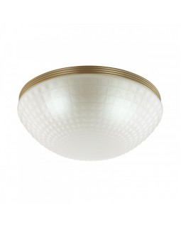 Накладной светильник Odeon Light 4936/3C-foto4