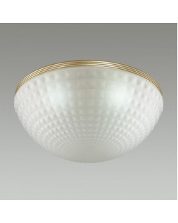Накладной светильник Odeon Light 4936/4C-foto3