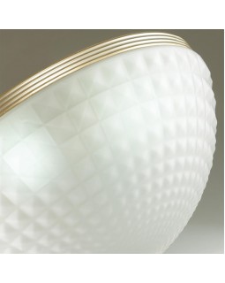 Накладной светильник Odeon Light 4936/4C-foto5