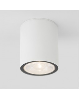 Уличный светильник Elektrostandard Light LED 2103 (35131/H) белый
