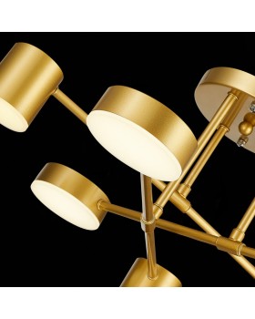 Люстра на штанге Evoluce SLE201022-06-foto10