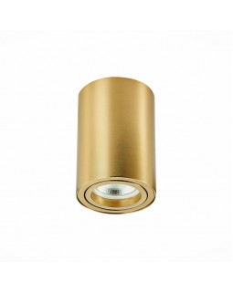Накладной светильник ST-Luce ST108.207.01-foto2
