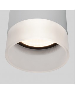 Уличный светильник Elektrostandard Light LED 2107 (35140/H) серый-foto2