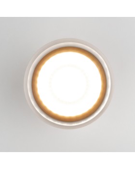 Уличный светильник Elektrostandard Light LED 2107 (35140/H) серый-foto3