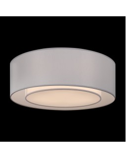 Накладной светильник Maytoni MOD617CL-04GR-foto3