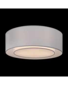 Накладной светильник Maytoni MOD617CL-04GR-foto3