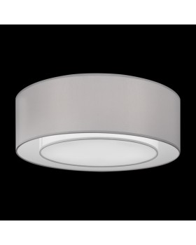 Накладной светильник Maytoni MOD617CL-04GR-foto4