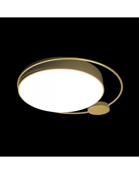 Накладной светильник LOFT IT 10063-foto2