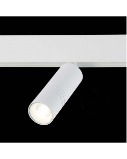 Светильник на шине ST-Luce ST365.546.12-foto4