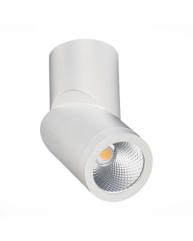 Влагозащищенный светильник ST-Luce ST650.542.10-foto2