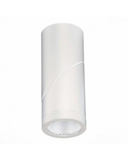 Влагозащищенный светильник ST-Luce ST650.542.10-foto4