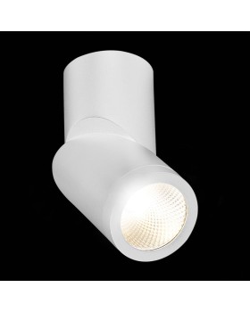 Влагозащищенный светильник ST-Luce ST650.542.10-foto5