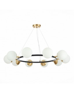 Подвесная люстра Evoluce SLE220403-10-foto2