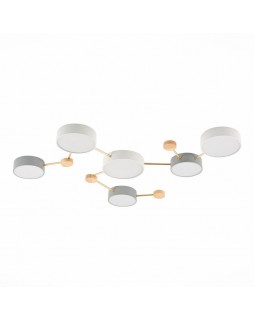 Накладной светильник Evoluce SLE600102-06-foto2