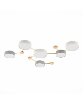 Накладной светильник Evoluce SLE600102-06-foto2