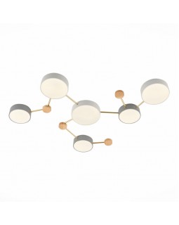 Накладной светильник Evoluce SLE600102-06-foto3