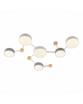 Накладной светильник Evoluce SLE600102-06-foto3