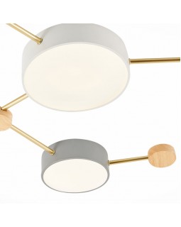 Накладной светильник Evoluce SLE600102-06-foto4