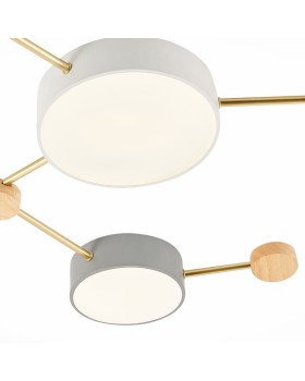 Накладной светильник Evoluce SLE600102-06-foto4