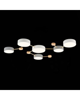 Накладной светильник Evoluce SLE600102-06-foto5