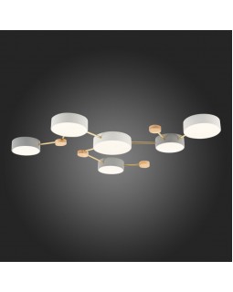 Накладной светильник Evoluce SLE600102-06-foto6