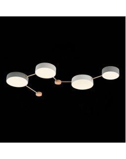 Накладной светильник Evoluce SLE600102-04-foto4