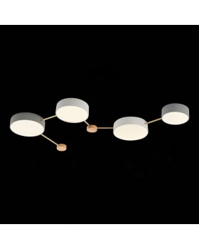 Накладной светильник Evoluce SLE600102-04-foto4