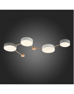 Накладной светильник Evoluce SLE600102-04-foto5