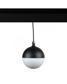 Светильник на шине LOFT IT T047-07P-foto3