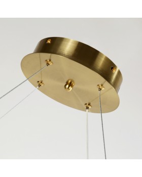 Подвесная люстра Favourite 4014-10P-foto4