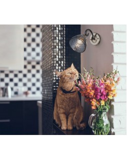 Бра DeMarkt 463021901-foto4